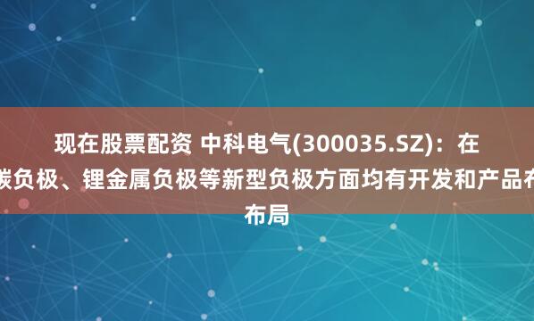 现在股票配资 中科电气(300035.SZ)：在硅碳负极、锂金属负极等新型负极方面均有开发和产品布局