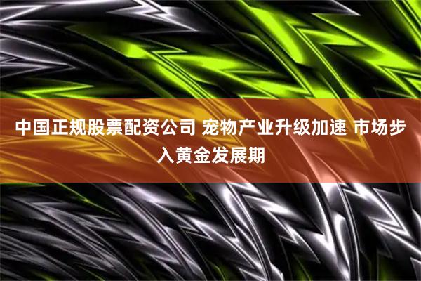 中国正规股票配资公司 宠物产业升级加速 市场步入黄金发展期