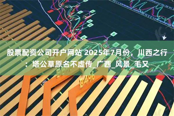 股票配资公司开户网站 2025年7月份，川西之行：塔公草原名不虚传_广西_风景_毛又